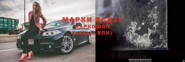 хмурый Аркадак