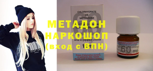 хмурый Аркадак