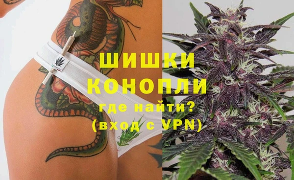 хмурый Аркадак